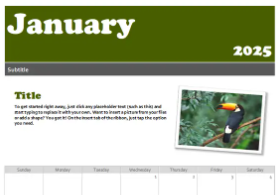 Snapshot calendar